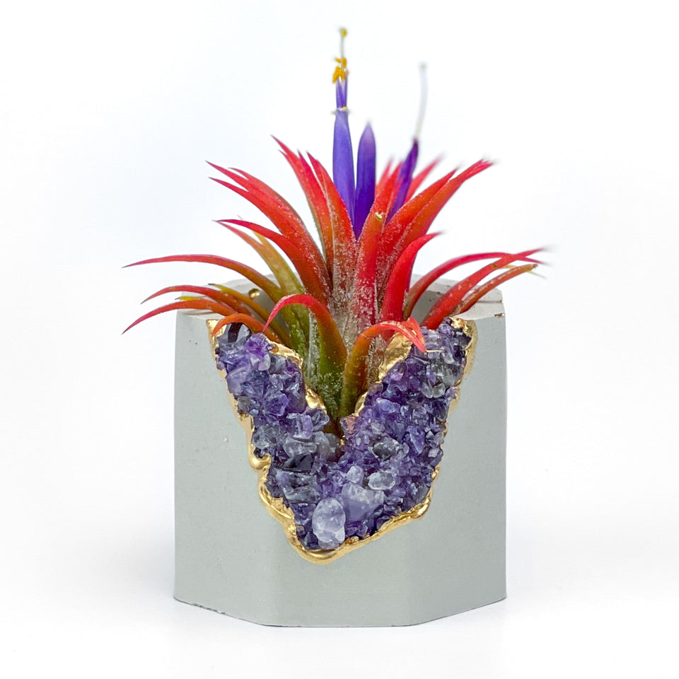 AMETHYST GEODE PLANTER