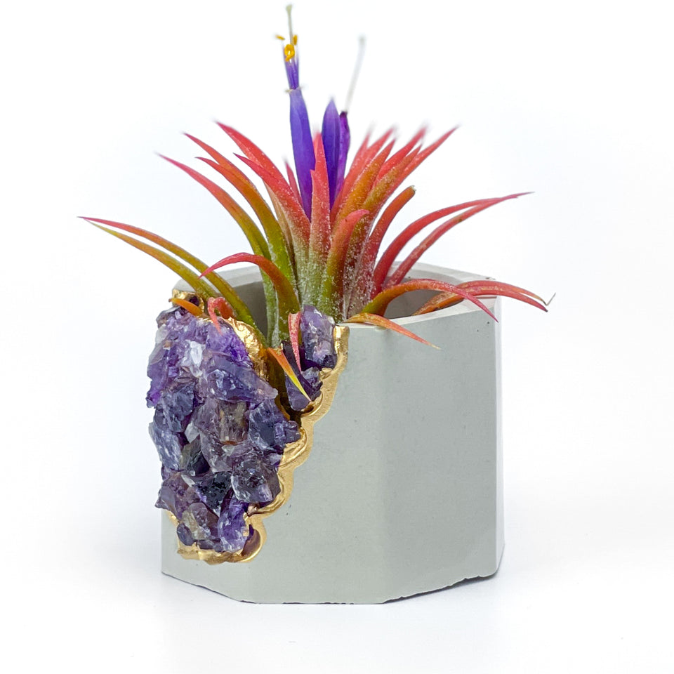 AMETHYST GEODE PLANTER