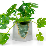 GREEN APATITE GEODE PLANTER