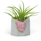 ROSE QUARTZ GEODE PLANTER