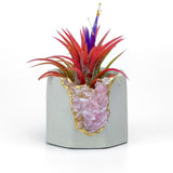Raw ROSE QUARTZ GEODE PLANTER
