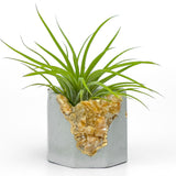 ORANGE CALCITE GEODE PLANTER