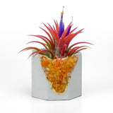 RED AVENTURINE GEODE PLANTER