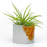 RED AVENTURINE GEODE PLANTER