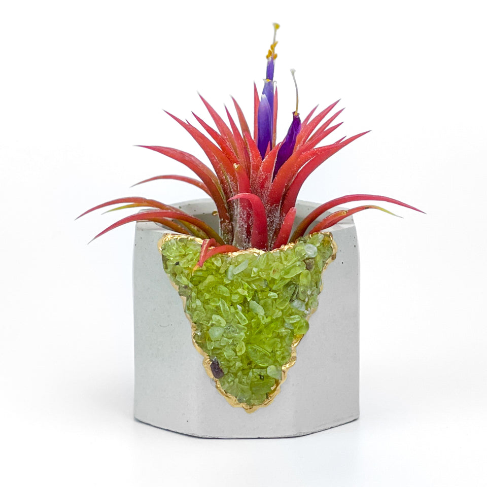 GREEN PERIDOT GEODE PLANTER