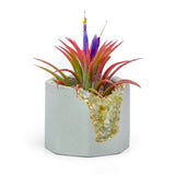 CITRINE GEODE PLANTER