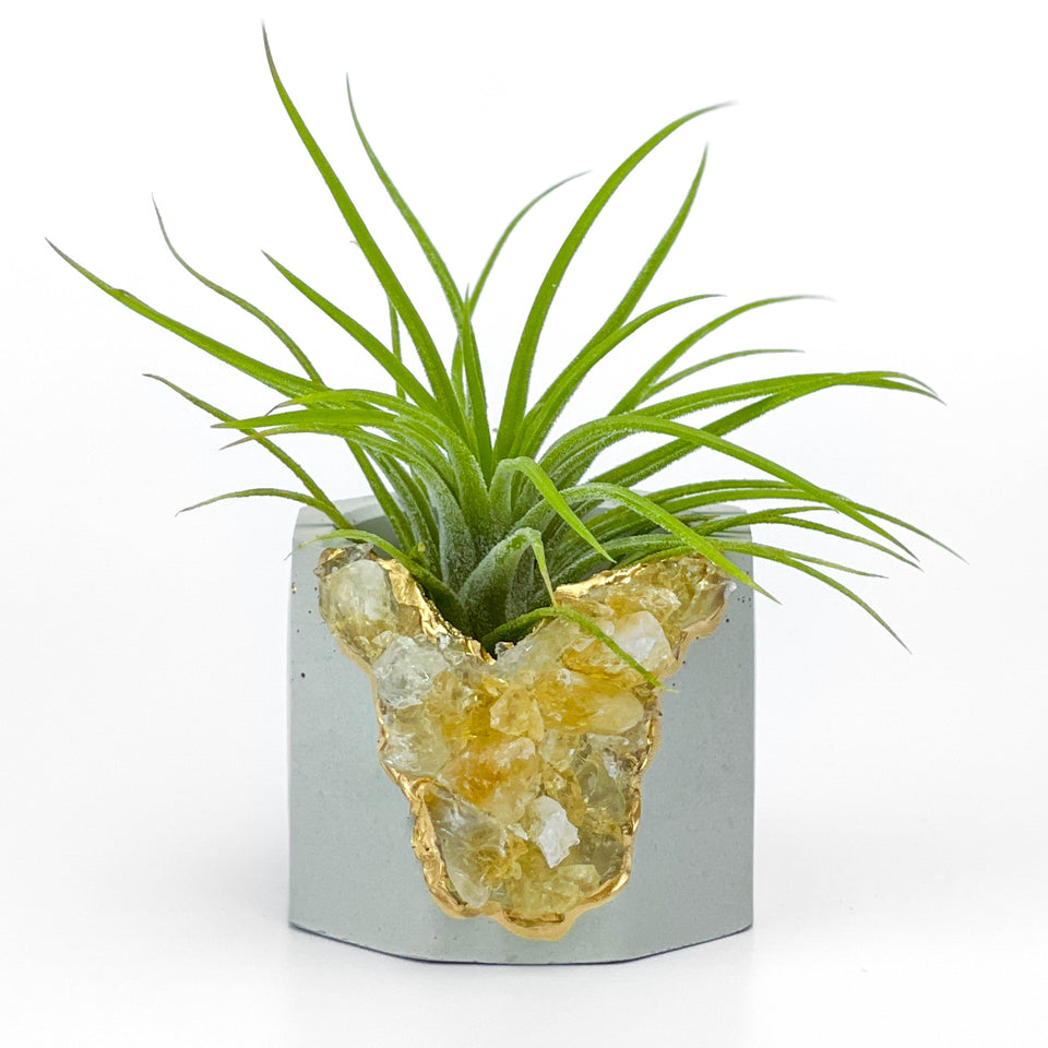 Raw CITRINE GEODE PLANTER