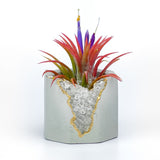 CLEAR QUARTZ GEODE PLANTER