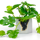 BLACK TOURMALINE GEODE PLANTER