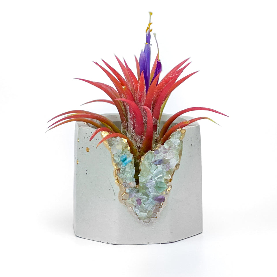 FLUORITE GEODE PLANTER