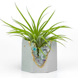 FLUORITE GEODE PLANTER