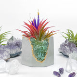 GREEN APATITE GEODE PLANTER