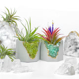 GREEN AVENTURINE GEODE PLANTER