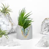 FLUORITE GEODE PLANTER
