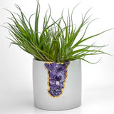 N°4 AMETHYST AURA PLANTER