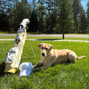 Le Golf. But make it fashion.