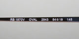 Ray-Ban 1970v Eyeglasses