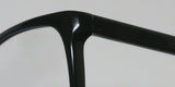 Andy Wolf 4529 Eyeglasses