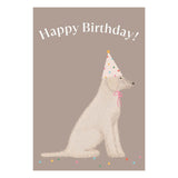 Happy Birthday Šarka Poster