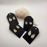 Natural Oyster Shell Earrings