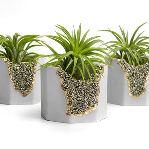PYRITE GEODE PLANTER
