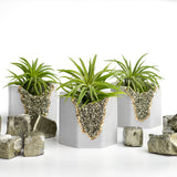 PYRITE GEODE PLANTER