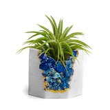 LAPIS LAZULI GEODE PLANTER