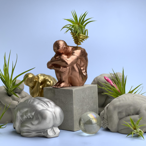 MALE BODY AIR PLANT HOLDER