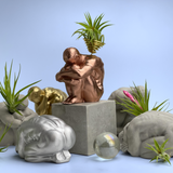 MALE BODY AIR PLANT HOLDER