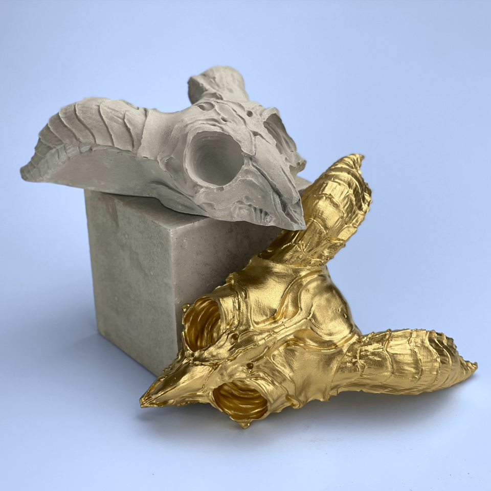 ANIMAL SKULL