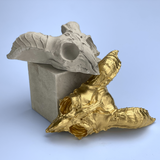 ANIMAL SKULL