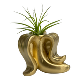 Banana Air Plant Holder