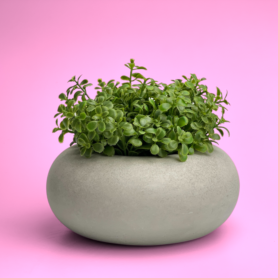 Perfect Succulent Planter