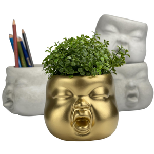 Baby Face Succulent Planter