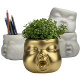 Baby Face Succulent Planter