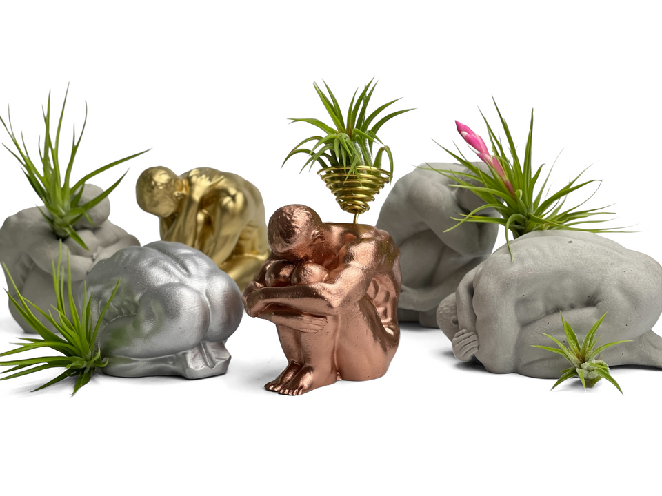 MALE BODY AIR PLANT HOLDER
