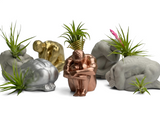 MALE BODY AIR PLANT HOLDER