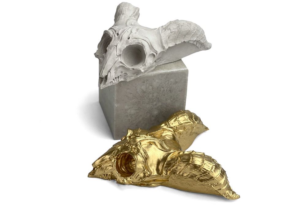 ANIMAL SKULL