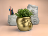 Baby Face Succulent Planter