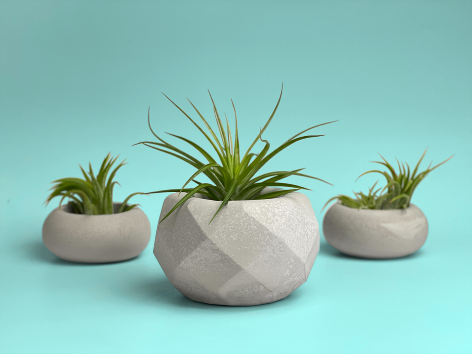 Geometric Air Plant Holder