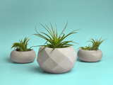 Geometric Air Plant Holder