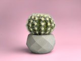 Geometric Air Plant Holder