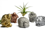 MALE BODY AIR PLANT HOLDER