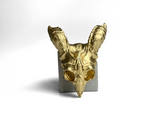 ANIMAL SKULL