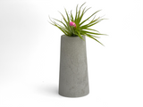 FAT MINI VASE | AIR PLANT HOLDER
