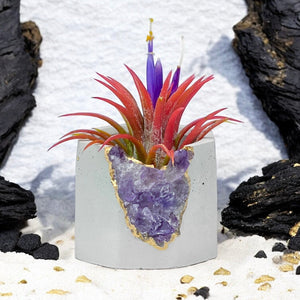 Brazil AMETHYST GEODE PLANTER