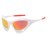 Wasps Sunglasses