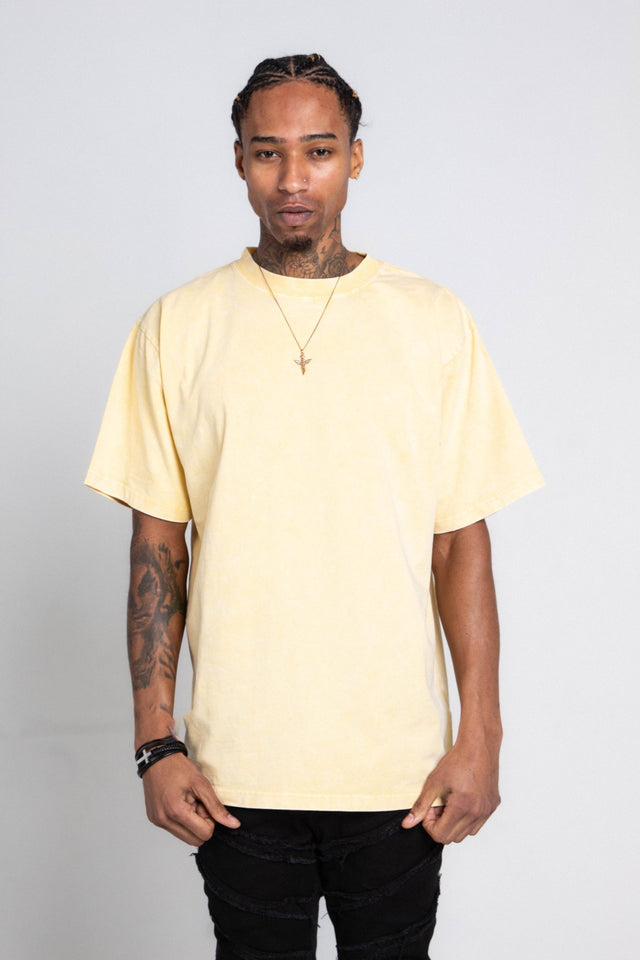 AJPT250GM PASTEL HEAVY TEE - Wear with style