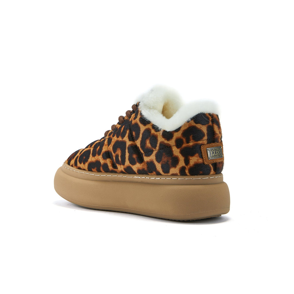 PYXIS LEOPARD