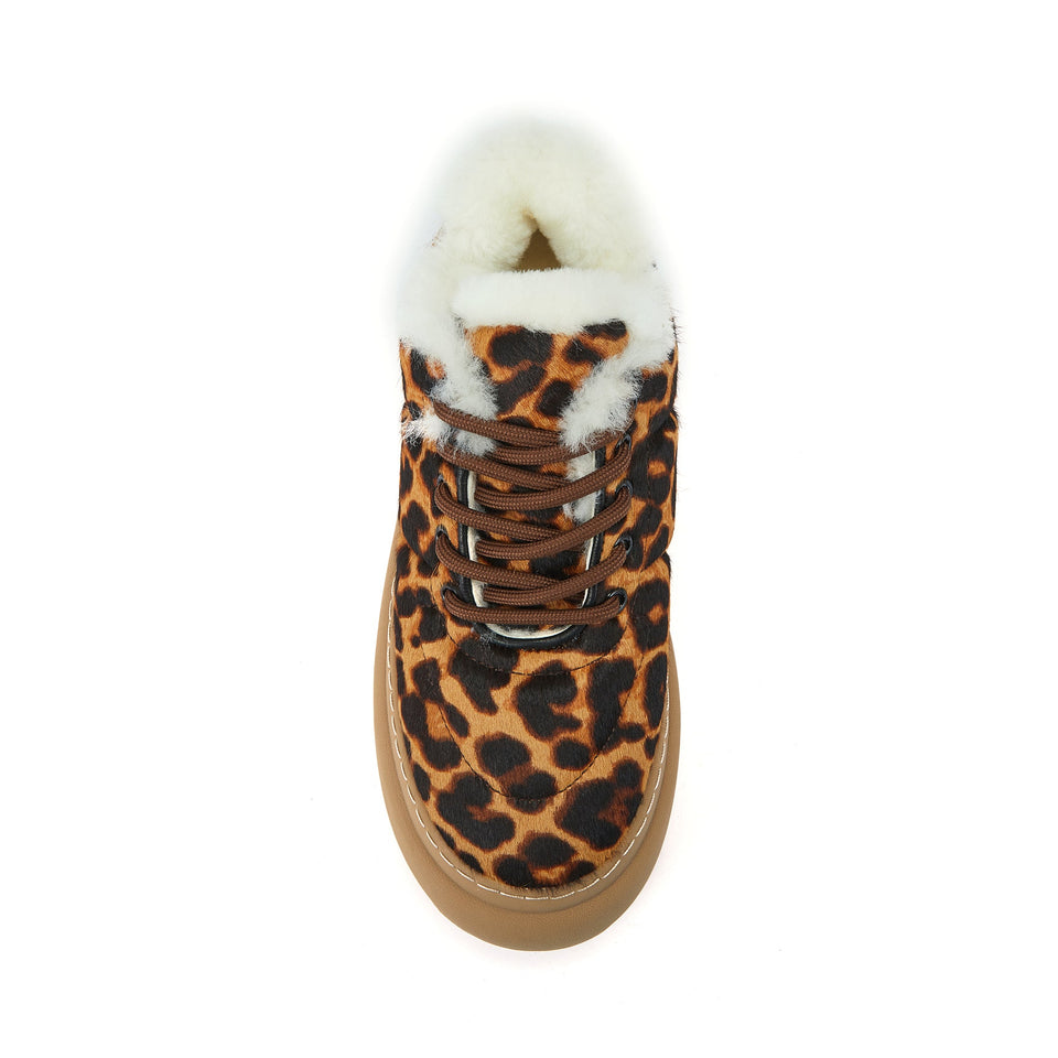PYXIS LEOPARD